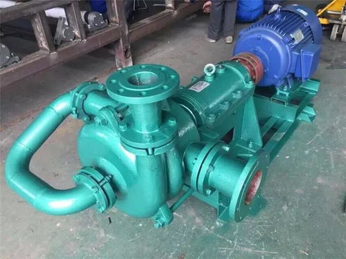 云浮80zje75 55电镀污水处理压滤机专用泵加工诚信经营